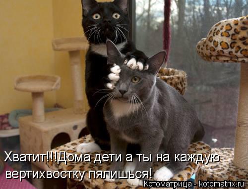 Котоматрица: вертихвостку пялишься! Хватит!!!Дома дети а ты на каждую