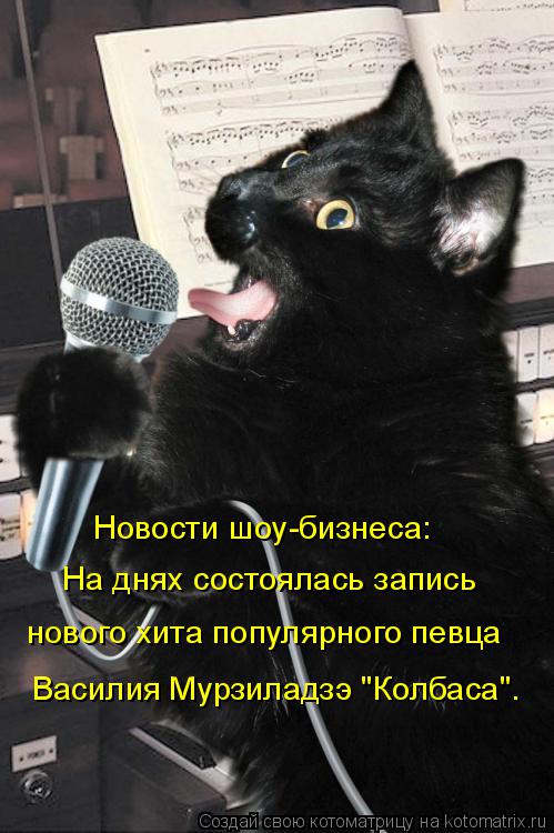 Котоматрица: Новости шоу-бизнеса: На днях состоялась запись нового хита популярного певца Василия Мурзиладзэ "Колбаса".