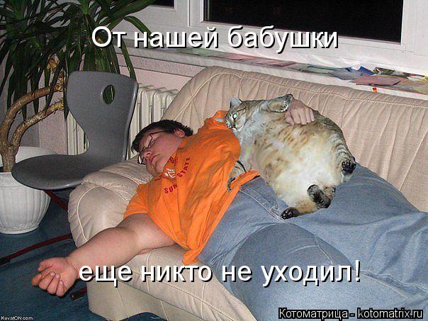 Котоматрица: От нашей бабушки еще никто не уходил!