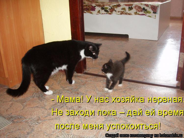 - Мама! У нас хозяйка нервная. Не заходи пока – дай ей время после меня успокоиться!... Котоматрица: - Мама! У нас хозяйка нервная. Не заходи пока – дай ей время после меня успокоиться!