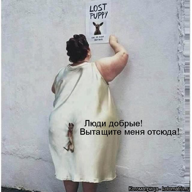Котоматрица: Люди добрые! Вытащите меня отсюда!