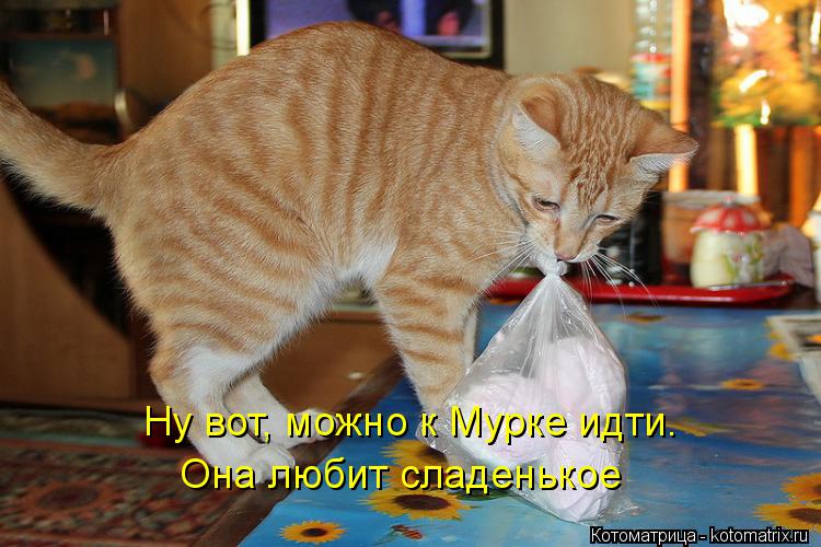 Ну вот, можно к Мурке идти. Она любит сладенькое... Котоматрица: Ну вот, можно к Мурке идти. Она любит сладенькое