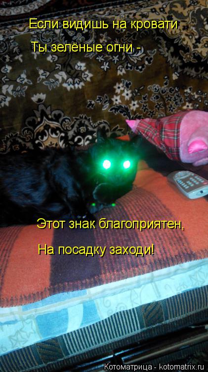 Если видишь на кровати Ты зелёные огни - Этот знак благоприятен, На посадку заходи!... Котоматрица: Если видишь на кровати Ты зелёные огни - Этот знак благоприятен, На посадку заходи!