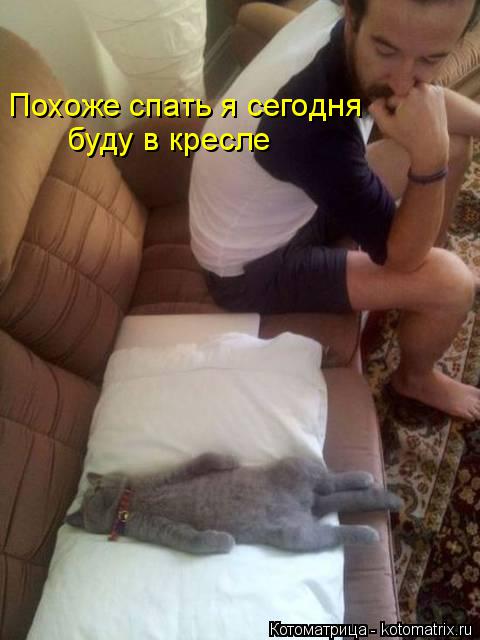 Похоже спать я сегодня буду в кресле... Котоматрица: Похоже спать я сегодня буду в кресле