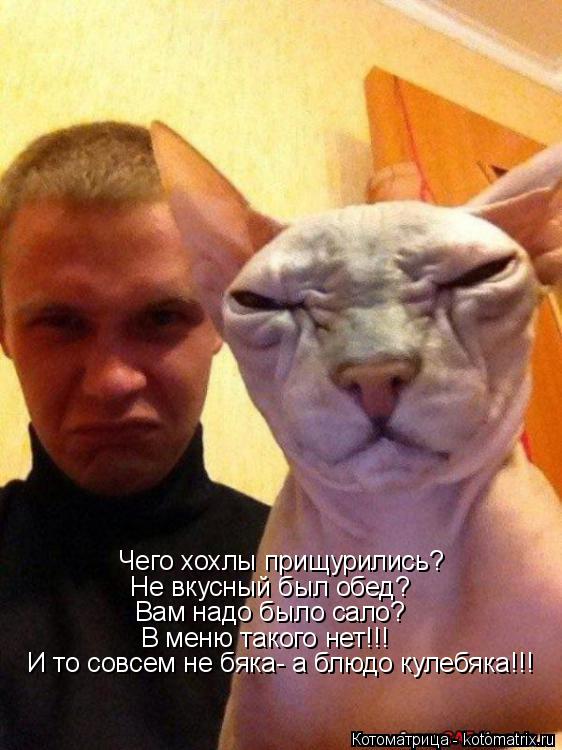 Котоматрица: Чего хохлы прищурились? Не вкусный был обед? Вам надо было сало? В меню такого нет!!! И то совсем не бяка- а блюдо кулебяка!!!