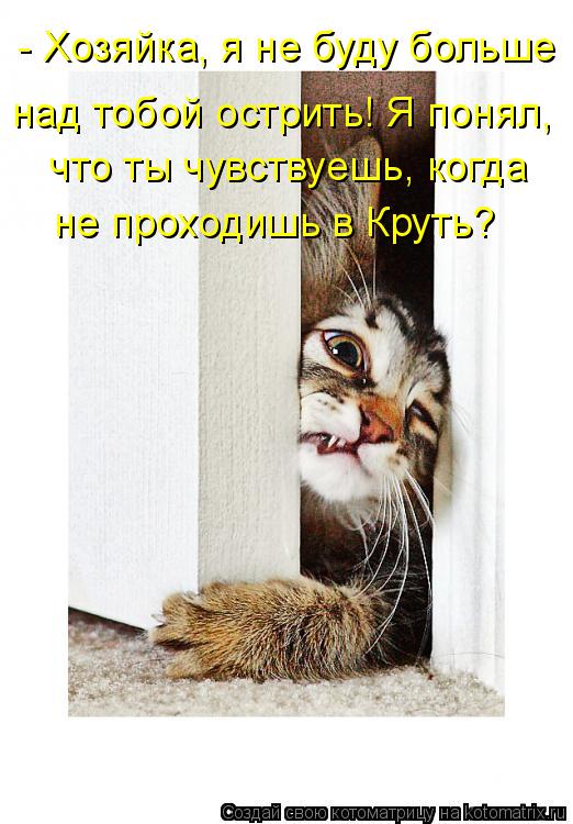 Котоматрица: не проходишь в Круть? - Хозяйка, я не буду больше  над тобой острить! Я понял,  что ты чувствуешь, когда