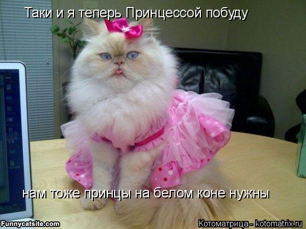 Котоматрица: Таки и я теперь Принцессой побуду нам тоже принцы на белом коне нужны