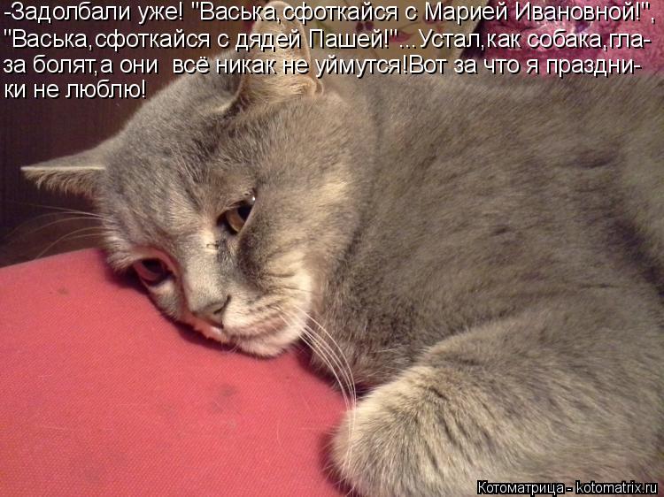 Котоматрица: -Задолбали уже! "Васька,сфоткайся с Марией Ивановной!", "Васька,сфоткайся с дядей Пашей!"...Устал,как собака,гла- за болят,а они  всё никак не уй