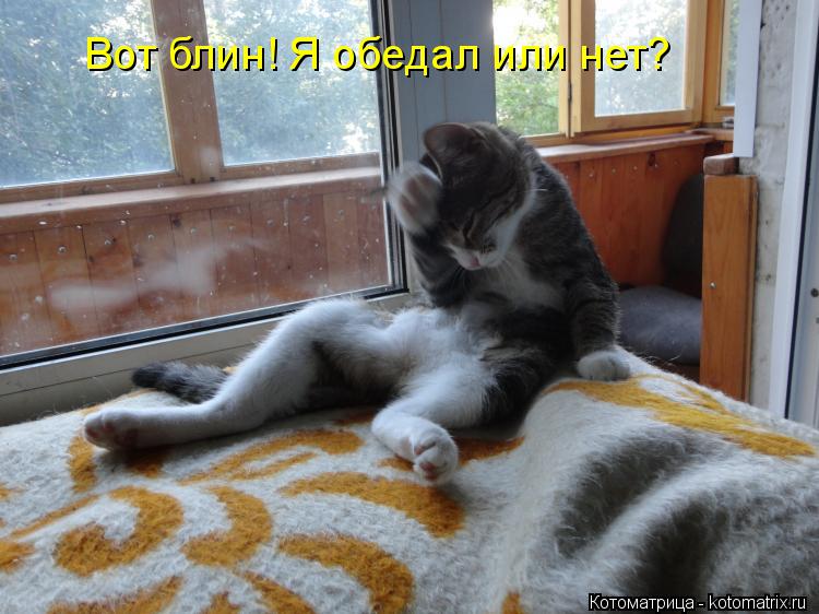Вот блин! Я обедал или нет?... Котоматрица: Вот блин! Я обедал или нет?