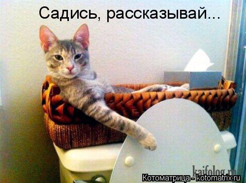 Садись, рассказывай...... Котоматрица: Садись, рассказывай...
