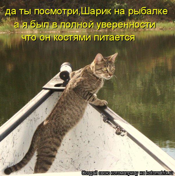 Котоматрица: да ты посмотри,Шарик на рыбалке  а я был в полной уверенности что он костями питается