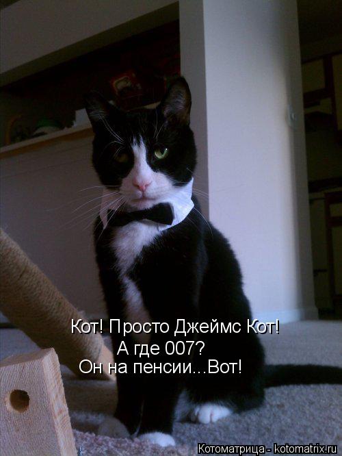 Котоматрица: Кот! Просто Джеймс Кот! А где 007? Он на пенсии...Вот!