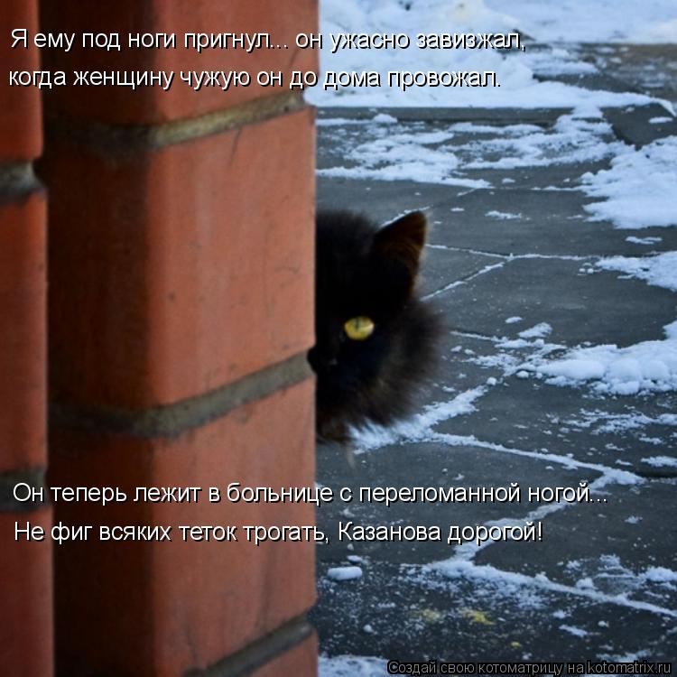 Котоматрица: Я ему под ноги пригнул... он ужасно завизжал,  когда женщину чужую он до дома провожал. Он теперь лежит в больнице с переломанной ногой... Не фи