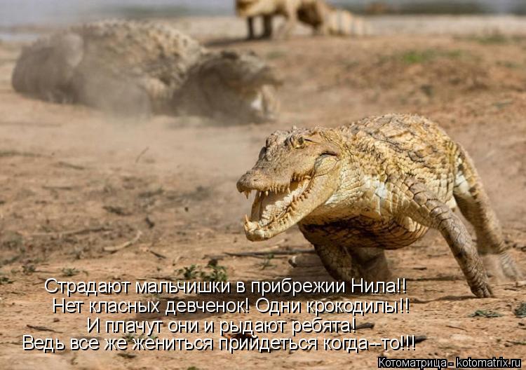 Нет класных девченок! Одни крокодилы!! И плачут они и рыдают ребята! Ведь все же жениться прийдеться ... Котоматрица: Нет класных девченок! Одни крокодилы!! И плачут они и рыдают ребята! Ведь все же жениться прийдеться когда--то!!! Страдают мальчишки в прибреж