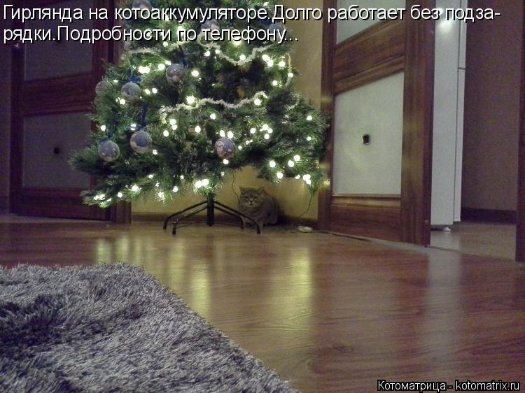 Котоматрица: Гирлянда на котоаккумуляторе.Долго работает без подза- рядки.Подробности по телефону...