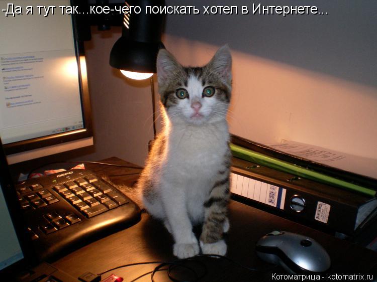Котоматрица: -Да я тут так...кое-чего поискать хотел в Интернете...