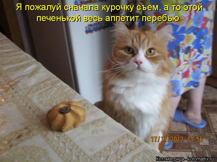 Я пожалуй сначала курочку съем, а то этой печенькой весь аппетит перебью... Котоматрица: Я пожалуй сначала курочку съем, а то этой печенькой весь аппетит перебью