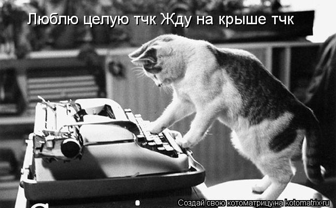 Котоматрица: Люблю целую тчк Жду на крыше тчк