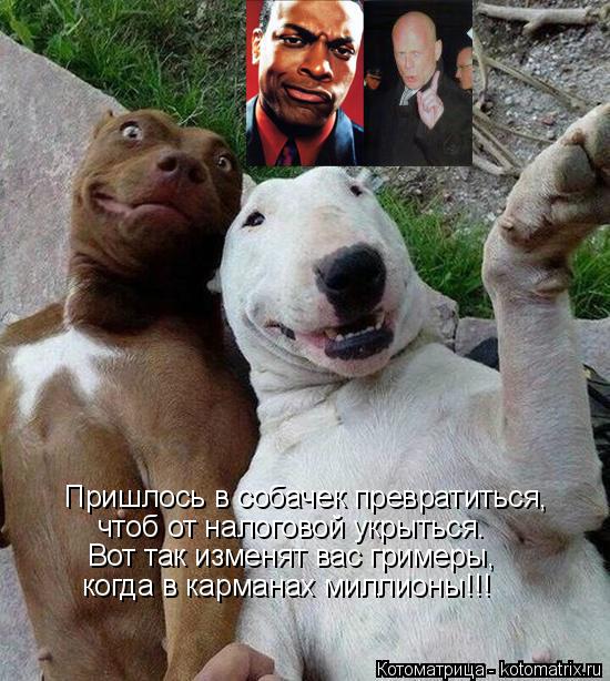 Котоматрица: Пришлось в собачек превратиться, чтоб от налоговой укрыться. Вот так изменят вас гримеры, когда в карманах миллионы!!!