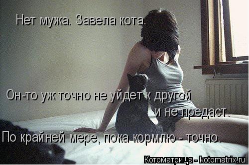 Котоматрица: Нет мужа. Завела кота. Он-то уж точно не уйдет к другой  и не предаст. По крайней мере, пока кормлю - точно.