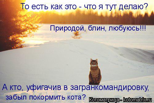 То есть как это - что я тут делаю? А кто, уфигачив в загранкомандировку, забыл покормить кота? Природ... Котоматрица: То есть как это - что я тут делаю? А кто, уфигачив в загранкомандировку, забыл покормить кота? Природой, блин, любуюсь!!!