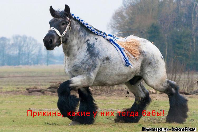 Котоматрица: Прикинь, какие у них тогда бабы!