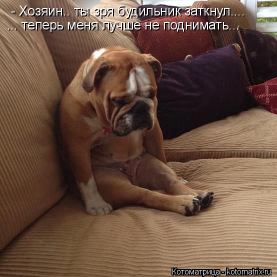 Котоматрица: - Хозяин.. ты зря будильник заткнул.... ... теперь меня лучше не поднимать...