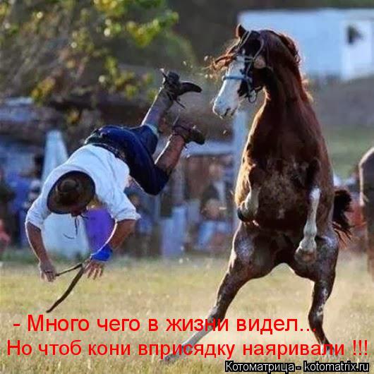 - Много чего в жизни видел... Но чтоб кони вприсядку наяривали !!!... Котоматрица: - Много чего в жизни видел... Но чтоб кони вприсядку наяривали !!!