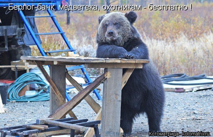 Котоматрица: - Берлог-банк, медветека, охотникам - бесплатно !