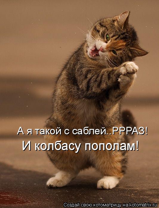 Котоматрица: А я такой с саблей..РРРАЗ! И колбасу пополам!