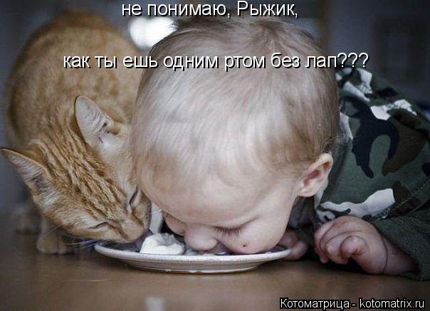 не понимаю, Рыжик, как ты ешь одним ртом без лап???... Котоматрица: не понимаю, Рыжик, как ты ешь одним ртом без лап???