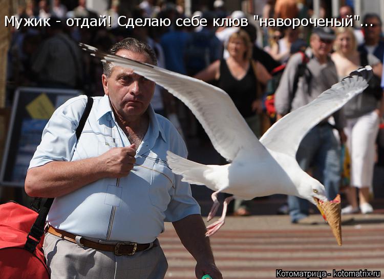 Котоматрица: Мужик - отдай! Сделаю себе клюв "навороченый"...