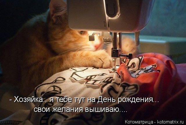 Котоматрица: - Хозяйка.. я тебе тут на День рождения... свои желания вышиваю....