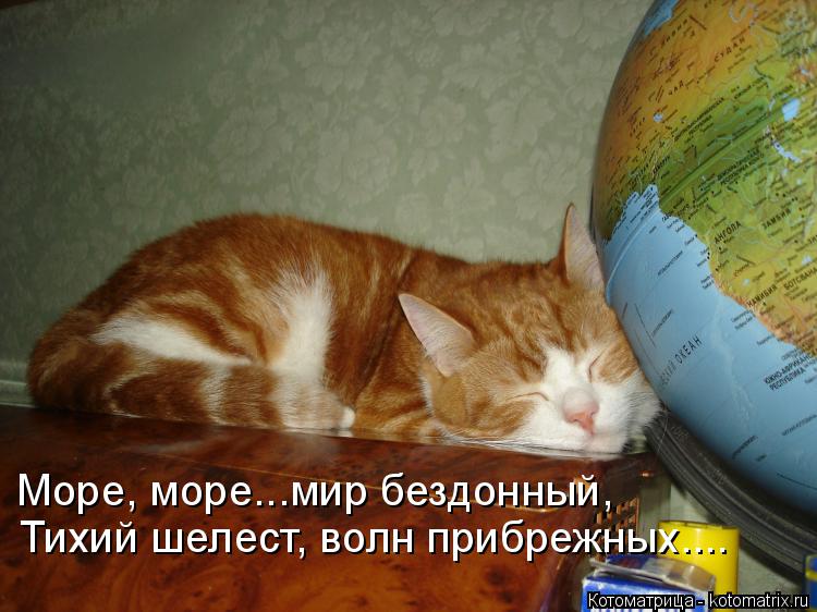 Котоматрица: Море, море...мир бездонный, Тихий шелест, волн прибрежных....