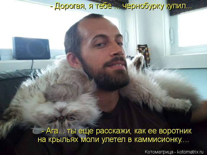 Котоматрица: - Дорогая, я тебе ... чернобурку купил... - Ага... ты еще расскажи, как ее воротник на крыльях моли улетел в каммисионку....
