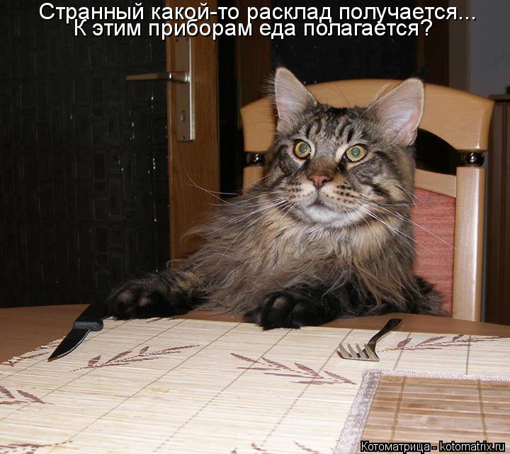 Котоматрица: Странный какой-то расклад получается... К этим приборам еда полагается?