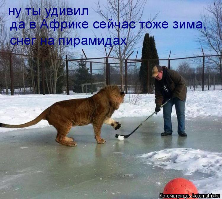 Котоматрица: ну ты удивил да в Африке сейчас тоже зима, снег на пирамидах