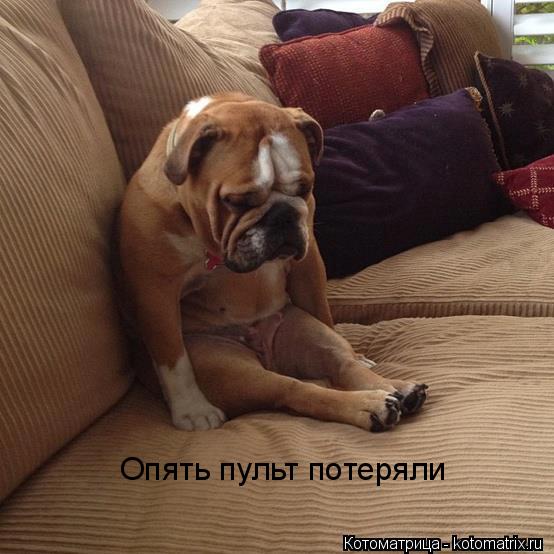 Котоматрица: Опять пульт потеряли