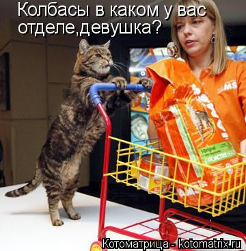 Котоматрица: Колбасы в каком у вас отделе,девушка?