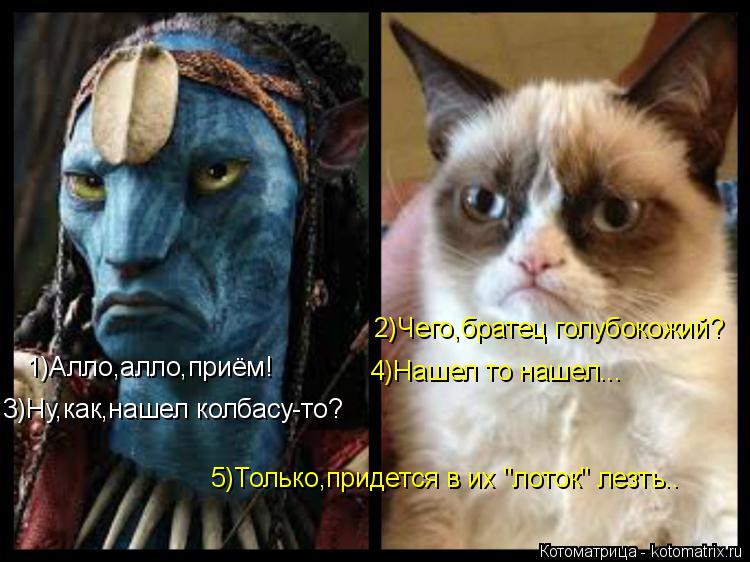 Котоматрица: 1)Алло,алло,приём! 2)Чего,братец голубокожий? 3)Ну,как,нашел колбасу-то? 4)Нашел то нашел... 5)Только,придется в их "лоток" лезть..