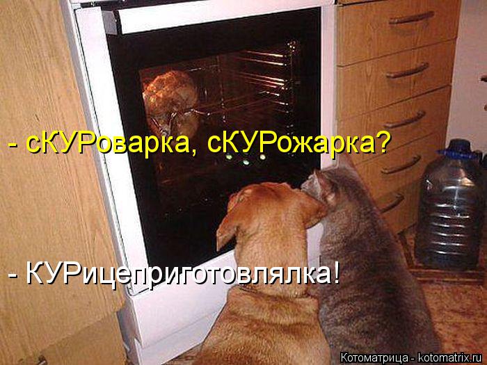 Котоматрица: - сКУРоварка, сКУРожарка? - КУРицеприготовлялка!