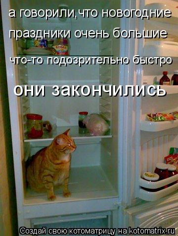 Котоматрица: а говорили,что новогодние  праздники очень большие что-то подозрительно быстро  они закончились