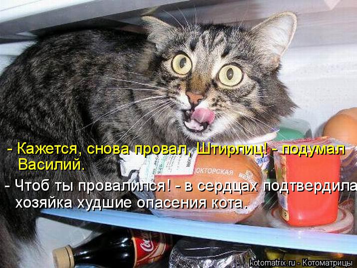 Котоматрица: - Кажется, снова провал, Штирлиц! - подумал Василий. - Чтоб ты провалился! - в сердцах подтвердила хозяйка худшие опасения кота.