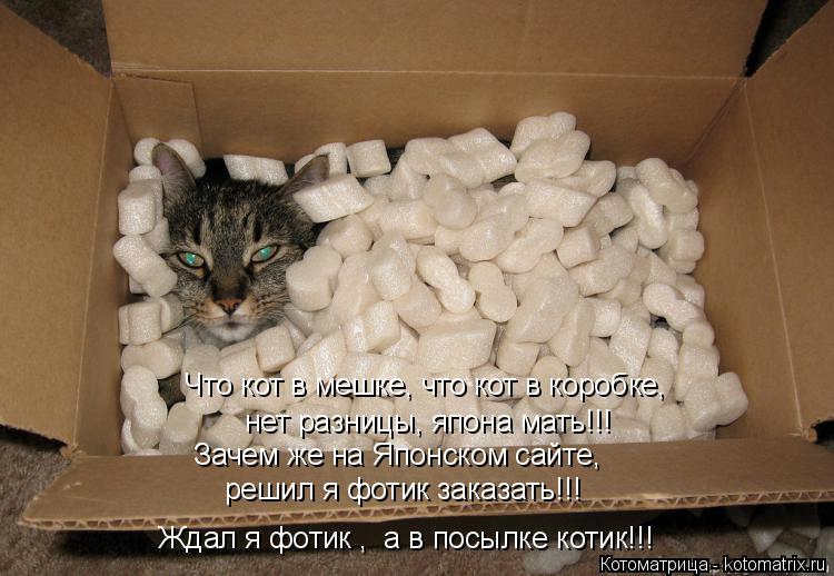 Котоматрица: нет разницы, япона мать!!! решил я фотик заказать!!! Что кот в мешке, что кот в коробке, Ждал я фотик ,  а в посылке котик!!! Зачем же на Японском с
