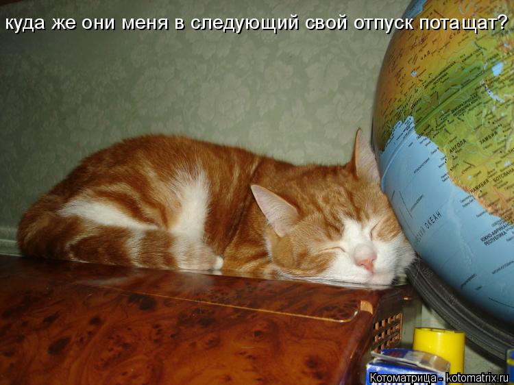 Котоматрица: куда же они меня в следующий свой отпуск потащат?