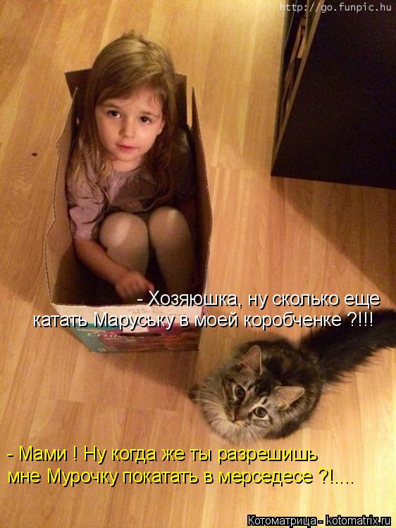 Котоматрица: - Хозяюшка, ну сколько еще катать Маруську в моей коробченке ?!!! - Мами ! Ну когда же ты разрешишь мне Мурочку покатать в мерседесе ?!....