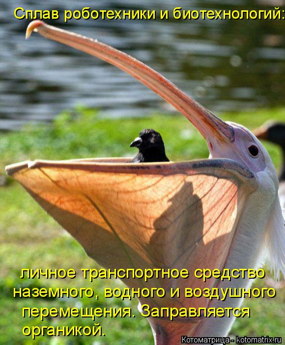 Сплав роботехники и биотехнологий: личное транспортное средство наземного, водного и воздушного пере... Котоматрица: Сплав роботехники и биотехнологий: личное транспортное средство наземного, водного и воздушного перемещения. Заправляется органикой.