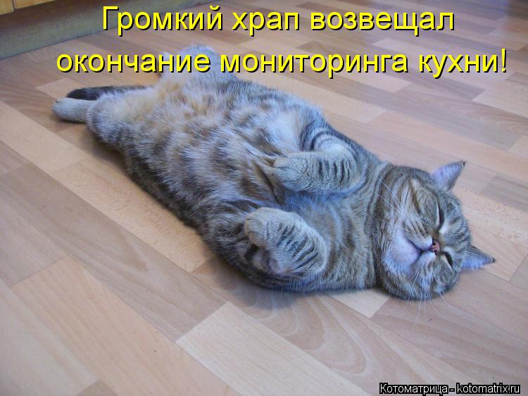 Котоматрица: Громкий храп возвещал окончание мониторинга кухни!