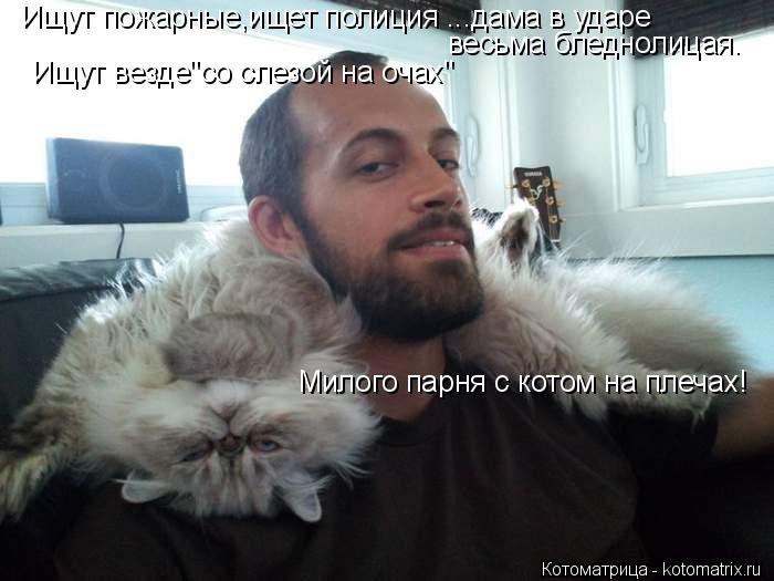 Котоматрица: Ищут пожарные,ищет полиция ...дама в ударе весьма бледнолицая. Ищут везде"со слезой на очах" Милого парня с котом на плечах!