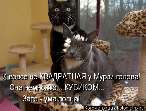 Котоматрица: И вовсе не КВАДРАТНАЯ у Мурзи голова! Она немножко... КУБИКОМ... Зато - ума полна!